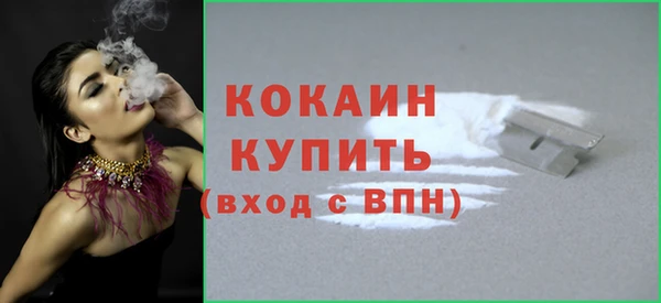 молекула духа Белоозёрский