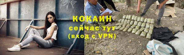 молекула духа Белоозёрский